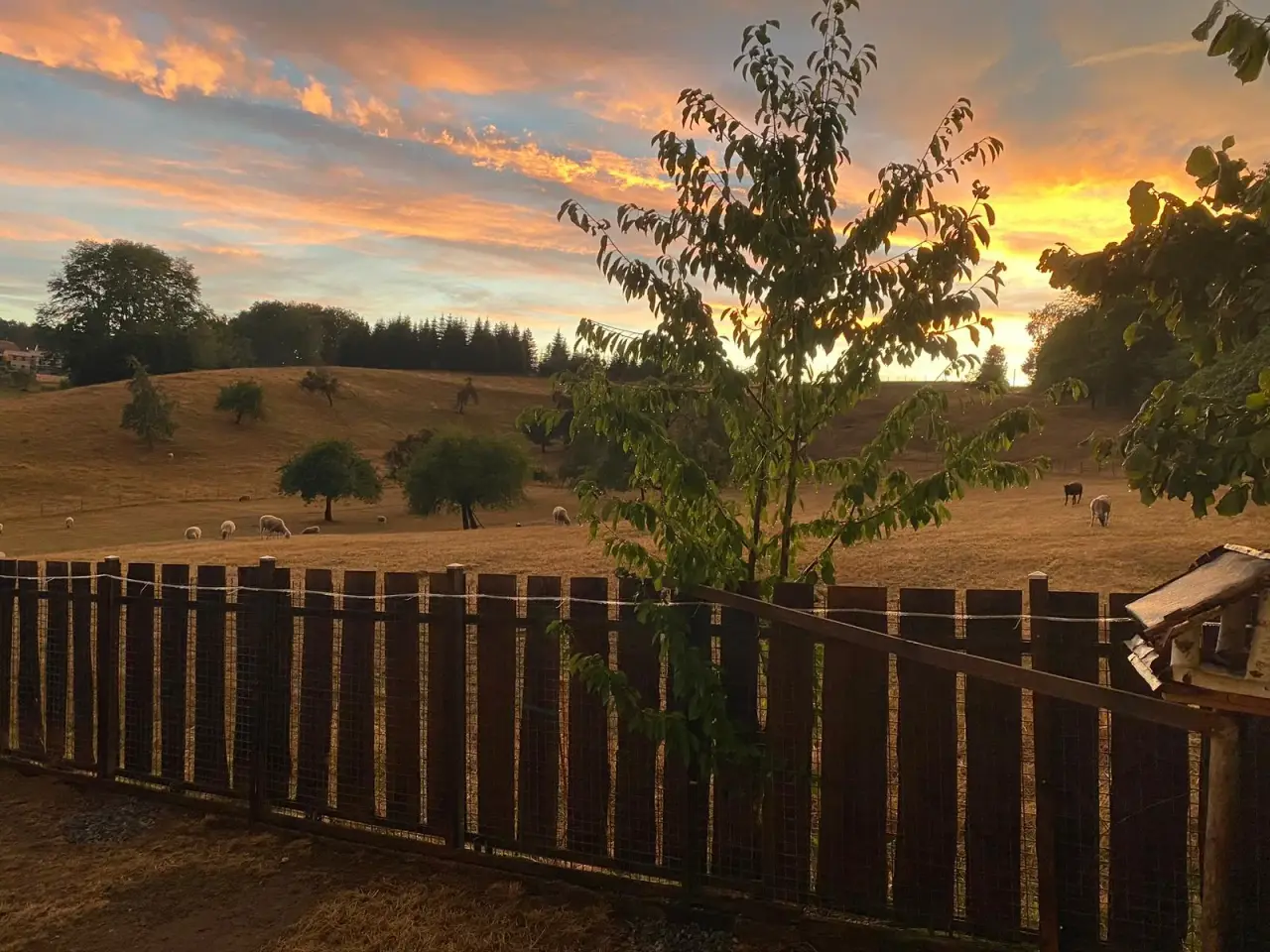 Sonnenuntergang über den Wiesen hinter dem Holzzaun