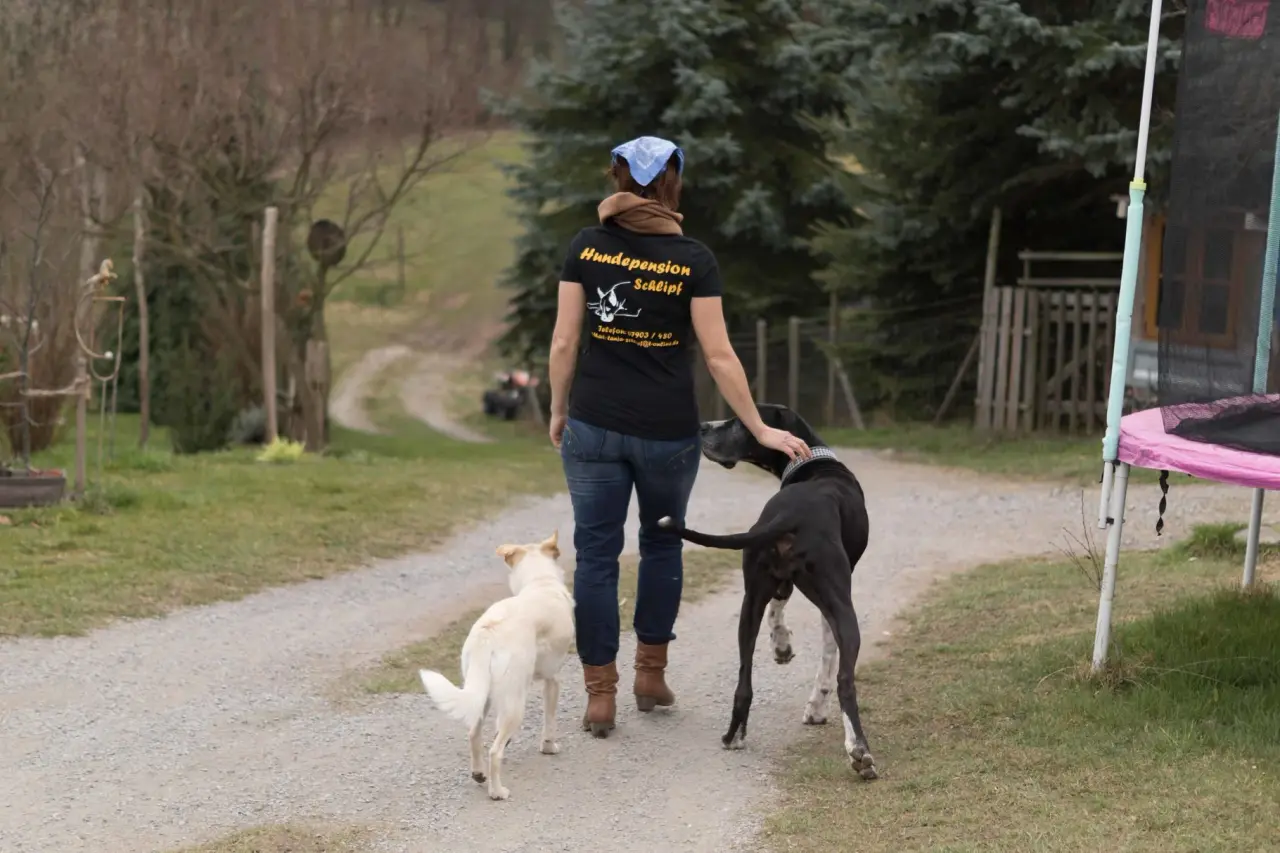 Betreuerin geht mit zwei Hunden über einen Schotterweg am Hof