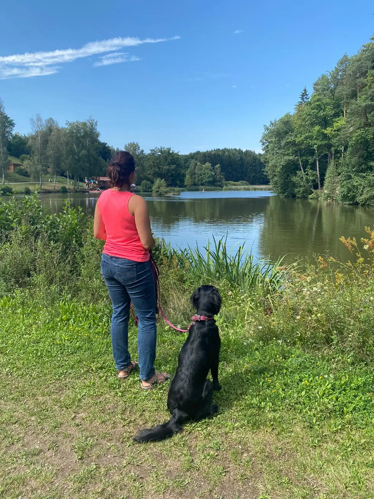 Frau und Hund schauen auf einen See