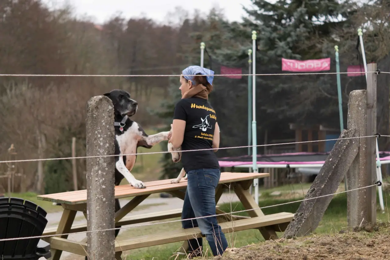 Hund steht am Zaun neben einer Betreuerin, im Hintergrund ein Trampolin