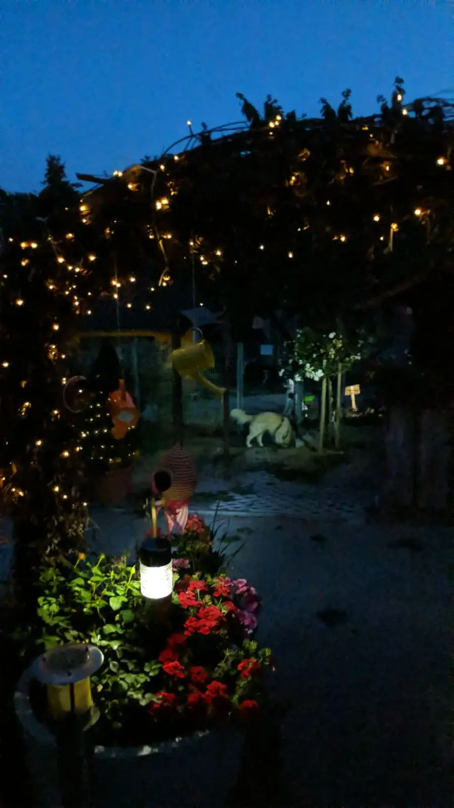 Garten am Abend mit leuchtendem Lichterbogen