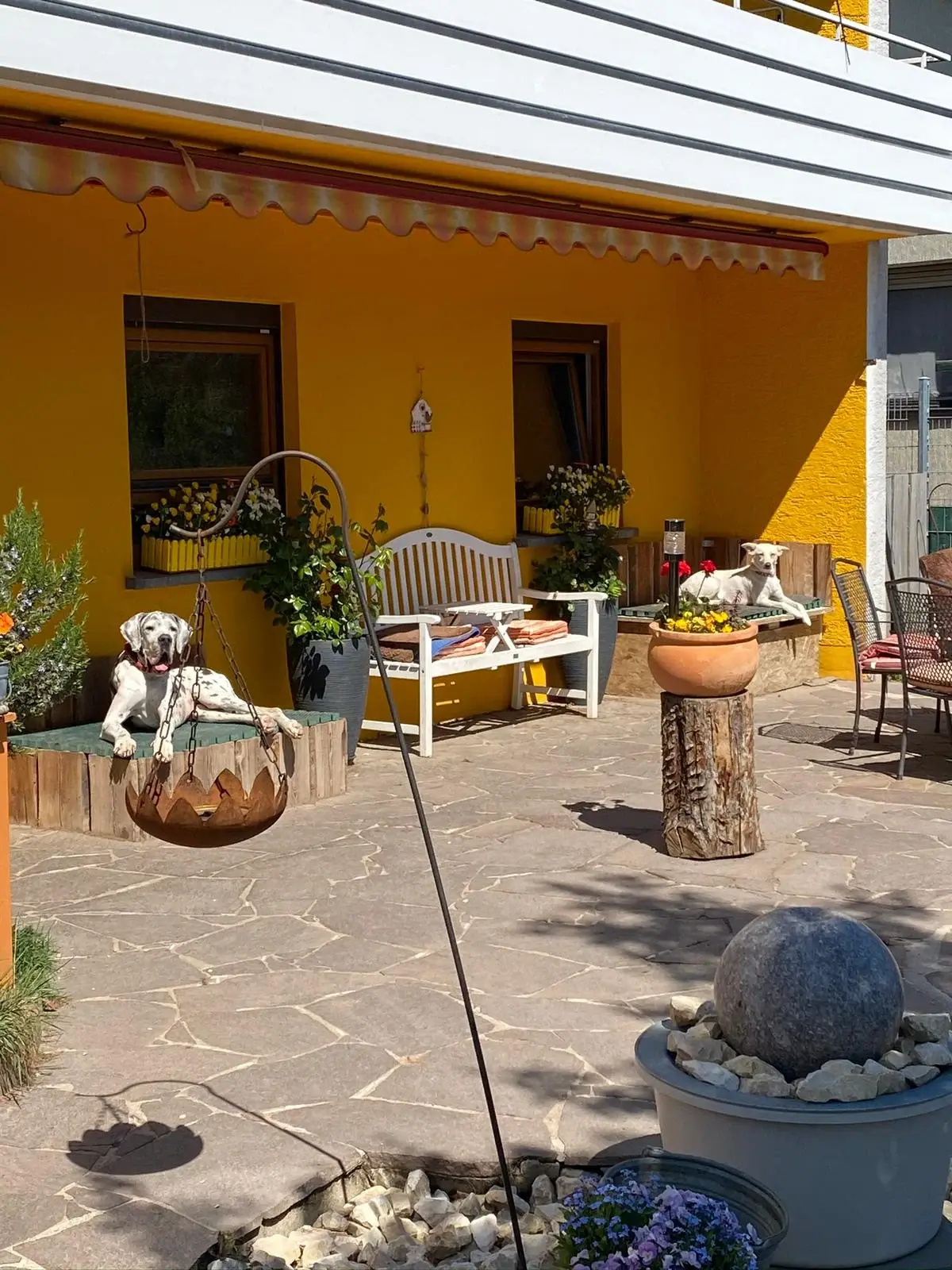Terrasse mit Sitzplatz und Steinkugel-Brunnen, im Hintergrund ein Hund