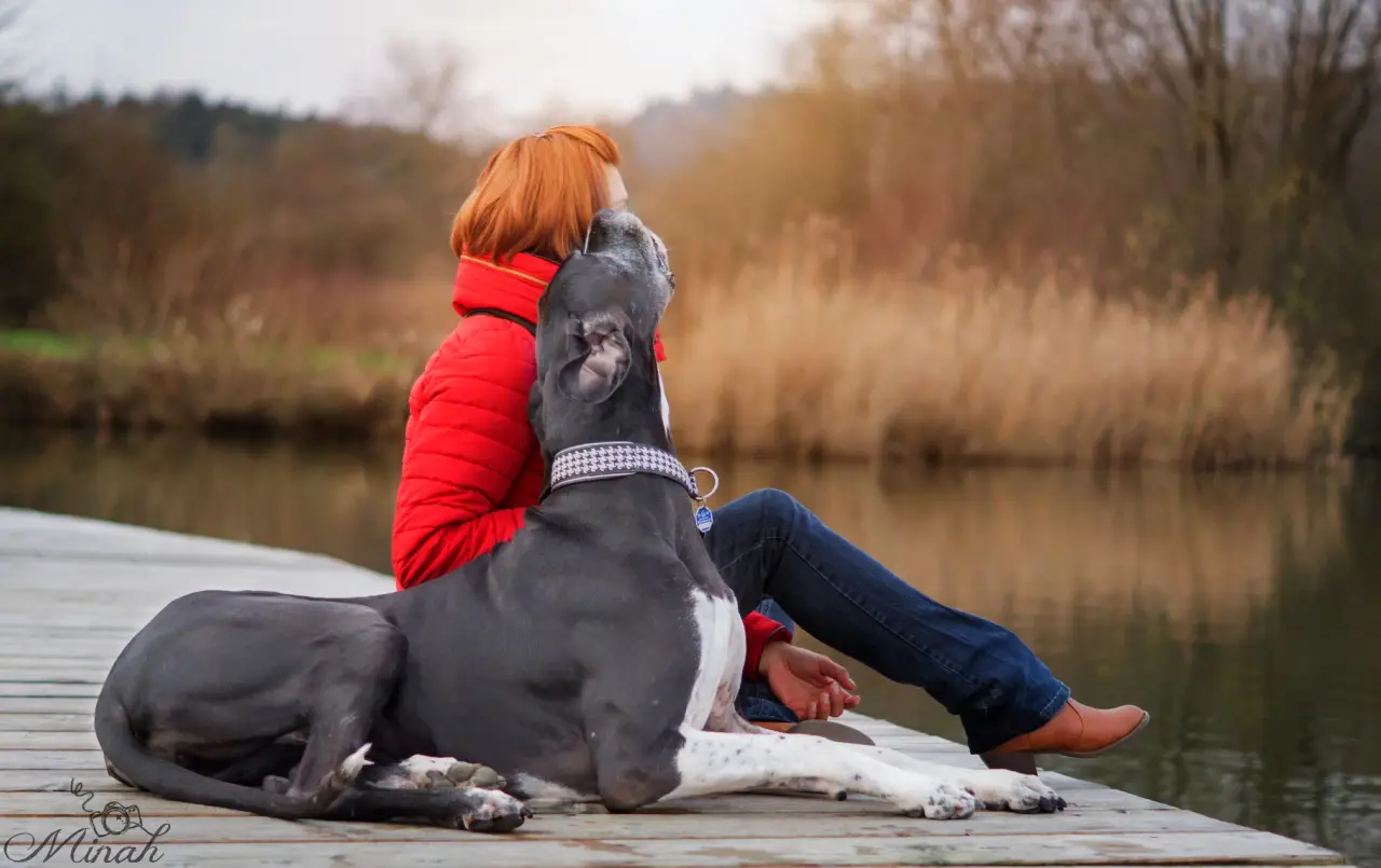 Tanja Schlipf sitzt mit einer Deutschen Dogge auf einem Steg am See