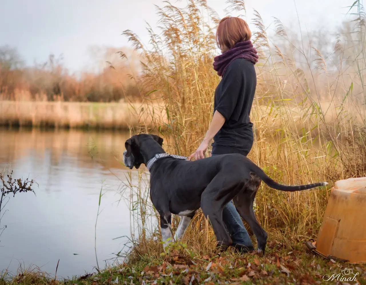 Frau mit einer Deutschen Dogge im Schilf am Seeufer