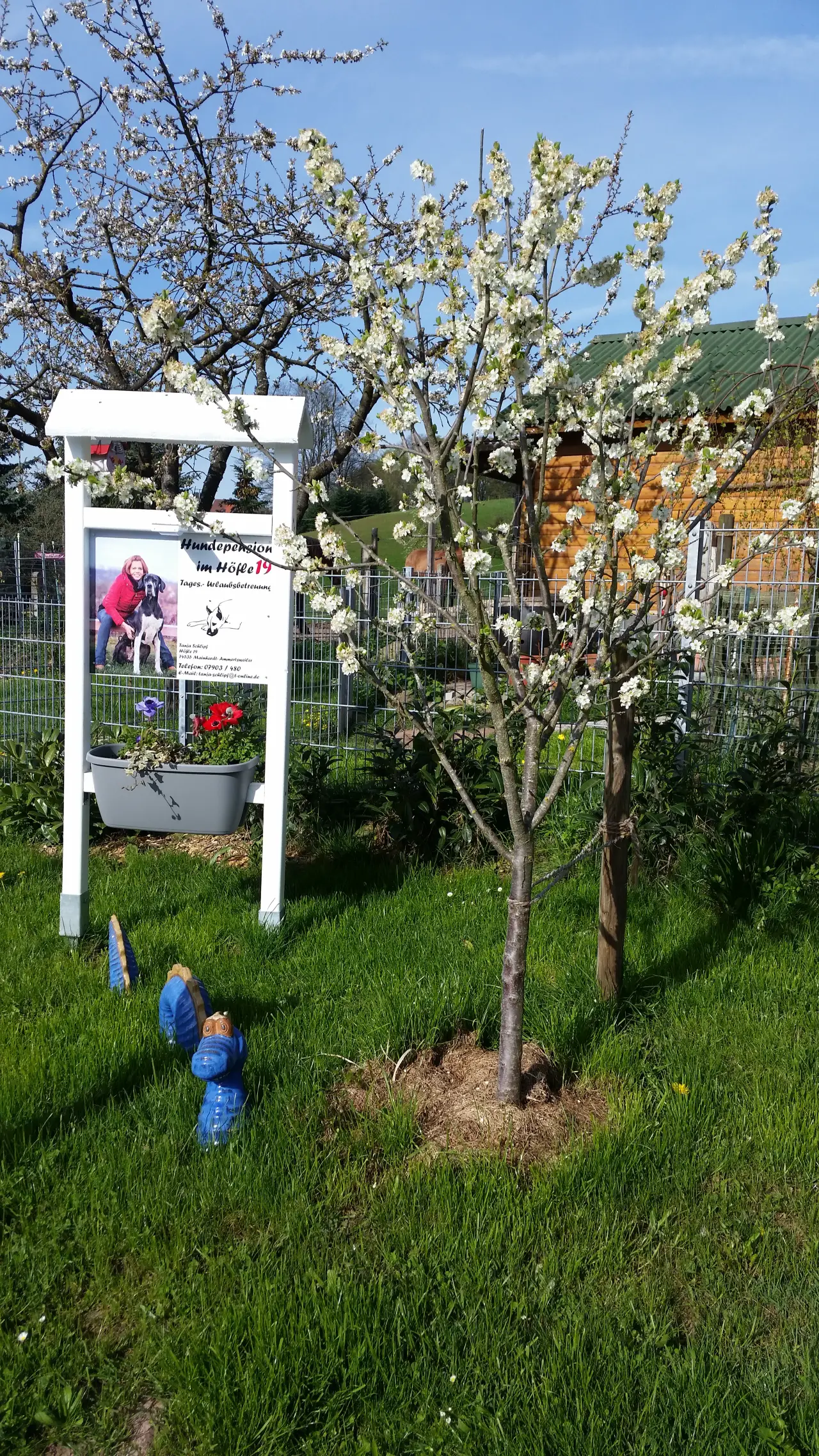Hofschild unter einem blühenden Obstbaum, dahinter eine Holzhütte