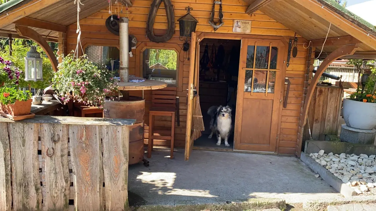 Holzhütte mit offener Tür, in der ein Hund steht, davor Pflanzen und ein Holztisch